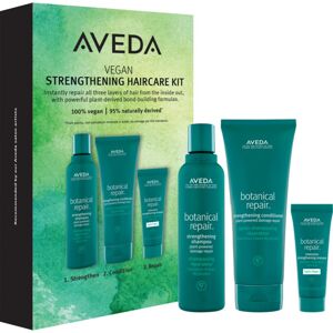 Aveda Botanical Repair™ Strengthening Haircare Set dárková sada (na vlasy)