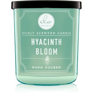 DW Home Hyacinth Bloom vonná svíčka 113,4 g