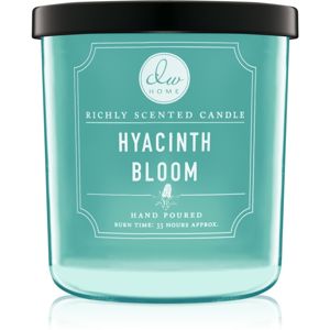 DW Home Hyacinth Bloom vonná svíčka 274,71 g