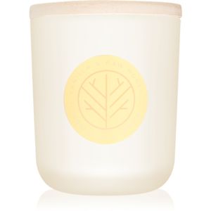 DW Home Vanilla & Raw Honey vonná svíčka s dřevěným knotem 320.49 g