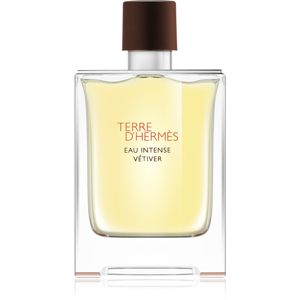 HERMÈS Terre d’Hermès Eau Intense Vétiver parfémovaná voda pro muže 100 ml