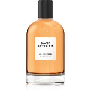 David Beckham Amber Breeze parfémovaná voda pro muže 100 ml