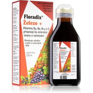 Floradix Floradix železo+ 250 ml