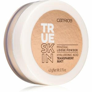 Catrice True Skin minerální pudr odstín 010 Transparent Matt 4,5 g