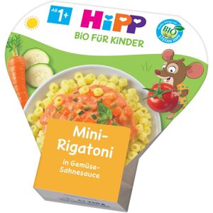 Hipp BIO Mini-Rigatoni se zeleninou ve smetanové omáčce dětský příkrm 250 g