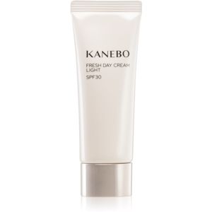 Kanebo Skincare energizující denní krém SPF 30 40 ml