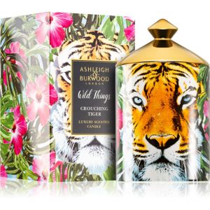 Ashleigh & Burwood London Wild Things Crouching Tiger vonná svíčka 700 g