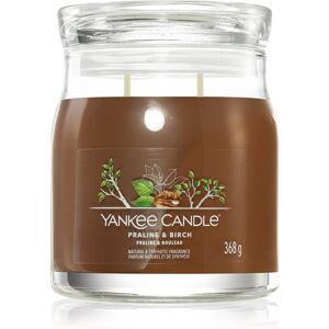 Yankee Candle Praline & Birch vonná svíčka 368 g