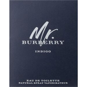 Burberry Mr. Burberry Indigo toaletní voda pro muže 2 ml
