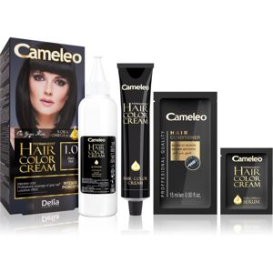 Delia Cosmetics Cameleo Omega permanentní barva na vlasy odstín 1.0 Black