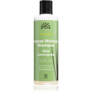 Urtekram Wild Lemongrass šampon pro normální až suché vlasy 250 ml