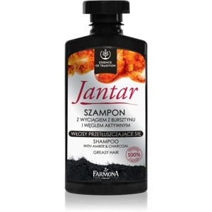 Farmona Jantar šampon s aktivními složkami uhlí pro mastné vlasy 330 ml
