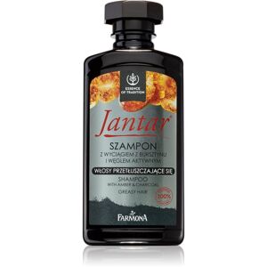 Farmona Jantar šampon s aktivními složkami uhlí pro mastné vlasy 330 ml