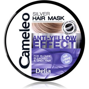 Delia Cosmetics Cameleo Silver maska na vlasy neutralizující žluté tóny 200 ml