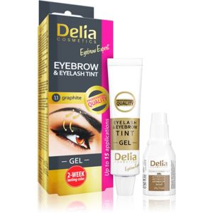 Delia Cosmetics Eyebrow Expert barva na obočí a řasy s aktivátorem odstín 1.1. Graphite 2 x 15 ml