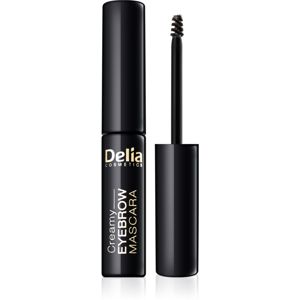 Delia Cosmetics Eyebrow Expert řasenka na obočí odstín Graphite 4 ml