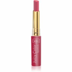 Wibo Lipstick Juicy Colour krémová hydratační rtěnka 2 v 1 04 1,4 g