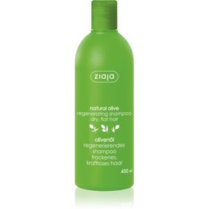 Ziaja Olive Oil regenerační šampon pro suché vlasy 400 ml