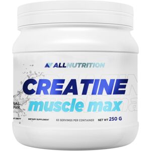 Allnutrition Creatine Muscle Max podpora sportovního výkonu příchuť Natural 250 g