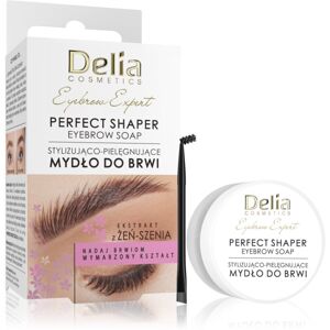Delia Cosmetics Eyebrow Expert Perfect Shaper mýdlo na obočí 10 ml