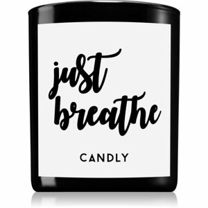 Candly & Co. Just Breathe vonná svíčka 250 g