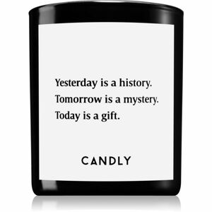 Candly & Co. Yesterday is a history vonná svíčka 250 g