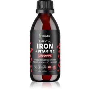 Blendea Iron + Vitamin C koncentrát pro normální tvorbu červených krvinek a hemoglobinu 250 ml