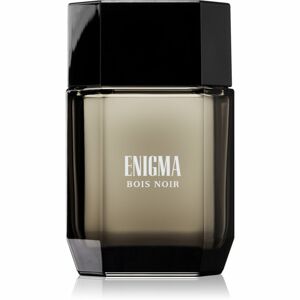 Art & Parfum Enigma Bois Noir Bois Noir parfémovaná voda pro muže 100 ml