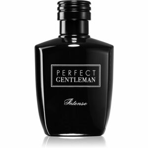 Art & Parfum Perfect Gentleman Intense parfémovaná voda pro muže 100 ml