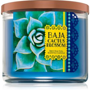 Bath & Body Works Baja Cactus Blossom vonná svíčka 411 g