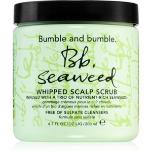 Bumble and bumble Seaweed Scalp Scrub vlasový peeling s extrakty z mořských řas 200 ml