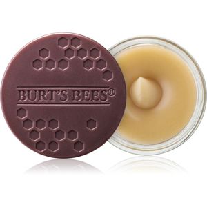 Burt’s Bees Lip Scrub peeling na rty s vyživujícím účinkem 7.08 g