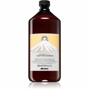 Davines Naturaltech Purifying čisticí šampon proti lupům 1000 ml
