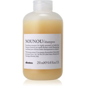 Davines NouNou výživný šampon pro suché a křehké vlasy 250 ml