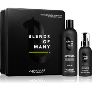 Alfaparf Milano Blends of Many dárková sada (na vlasy) pro muže