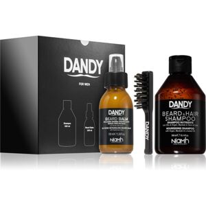 DANDY Beard gift box dárková sada (na vousy)