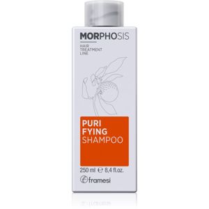 Framesi Morphosis Purifying šampon proti lupům 250 ml