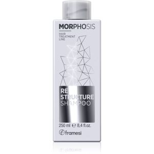 Framesi Morphosis Restructure restrukturalizační šampon pro suché a poškozené vlasy 250 ml