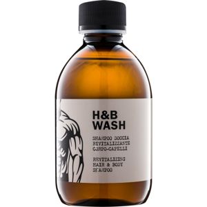 Dear Beard Shampoo H & B Wash šampon a sprchový gel 2 v 1 bez sulfátů a parabenů 250 ml
