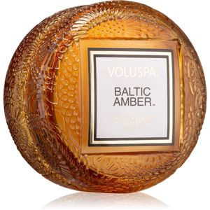 VOLUSPA Japonica Baltic Amber vonná svíčka II. 51 g