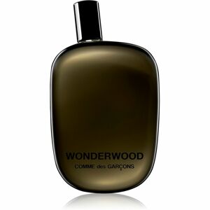 Comme des Garçons Wonderwood parfémovaná voda pro muže 100 ml
