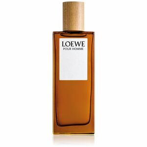 Loewe Loewe Pour Homme toaletní voda pro muže 50 ml