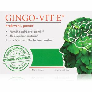 Gingo-vit Gingo-vit E tobolky doplněk stravy pro duševní a fyzickou rovnováhu 60 ks