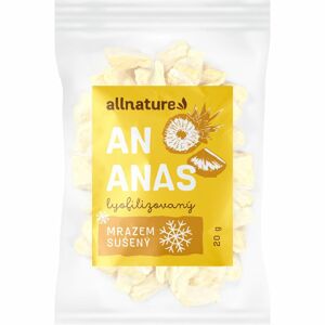 Allnature Ananas mrazem sušený mrazem sušené ovoce 20 g