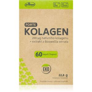 Vitar Kolagen Forte doplněk stravy pro podporu zdraví pohybového aparátu 60 ks