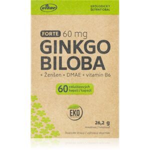 Vitar Ginkgo biloba 60mg doplněk stravy pro podporu kognitivních funkcí 60 ks