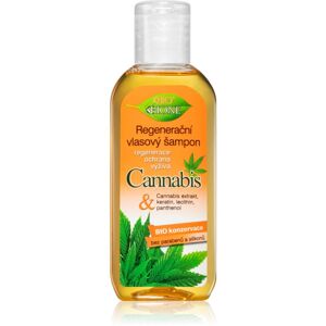Bione Cosmetics Cannabis regenerační šampon 80 ml