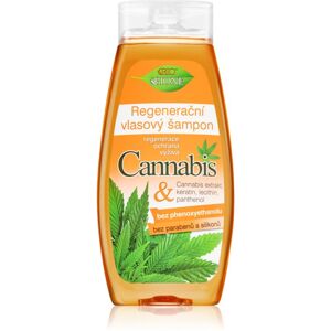 Bione Cosmetics Cannabis regenerační šampon 400 ml