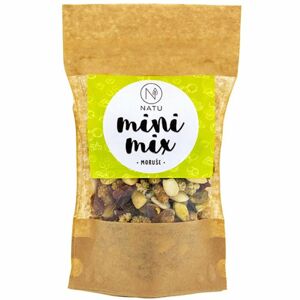 NATU Mini mix Moruše směs ořechů a sušených plodů 80 g