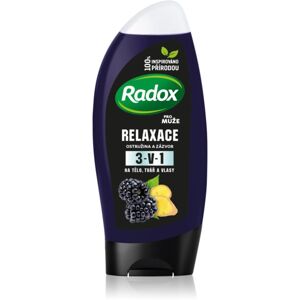 Radox Men Feel Wild sprchový gel na obličej, tělo a vlasy pro muže Blackberry & Ginger 250 ml